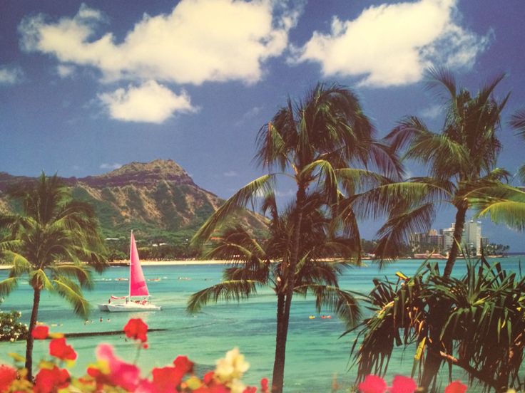 A Caribbean shoreline: palms, turquoise water and a sailboat off the coast